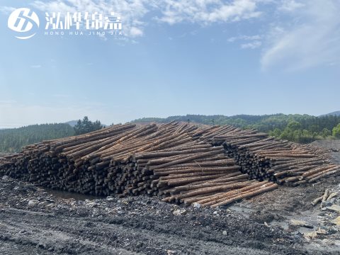 河道打樁為什么選擇松木樁來處理軟地基？-松木樁施工使用范圍